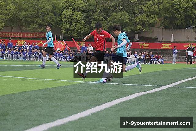 介绍九游