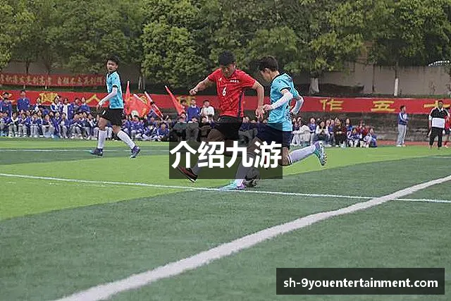 介绍九游